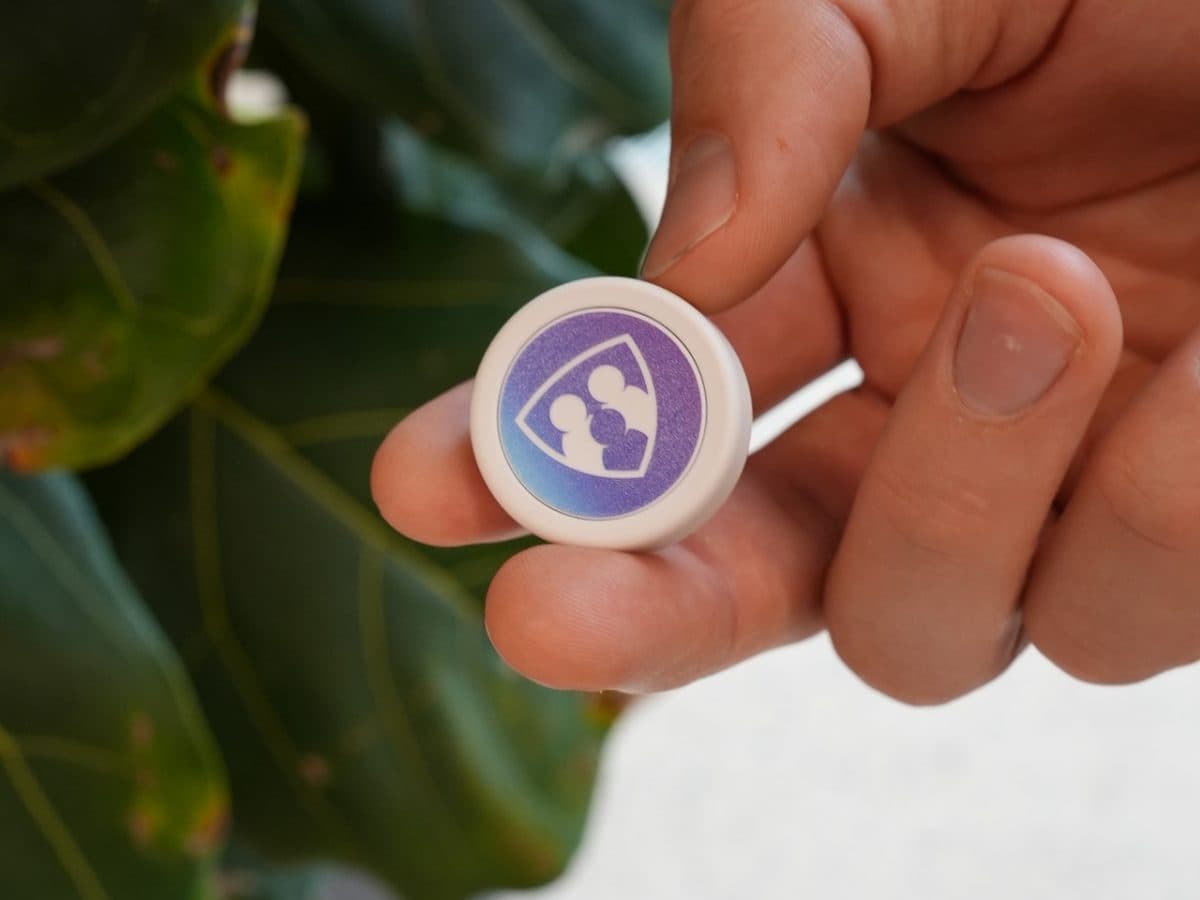 The purple ProTechMe One held between two fingers
